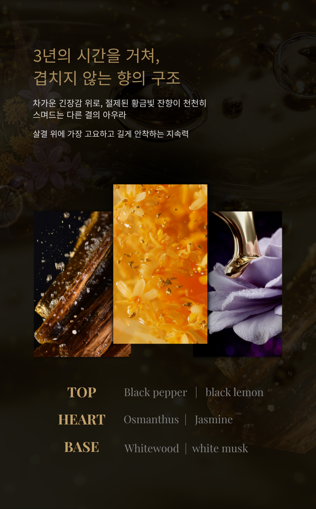 쌍 티트르 edp